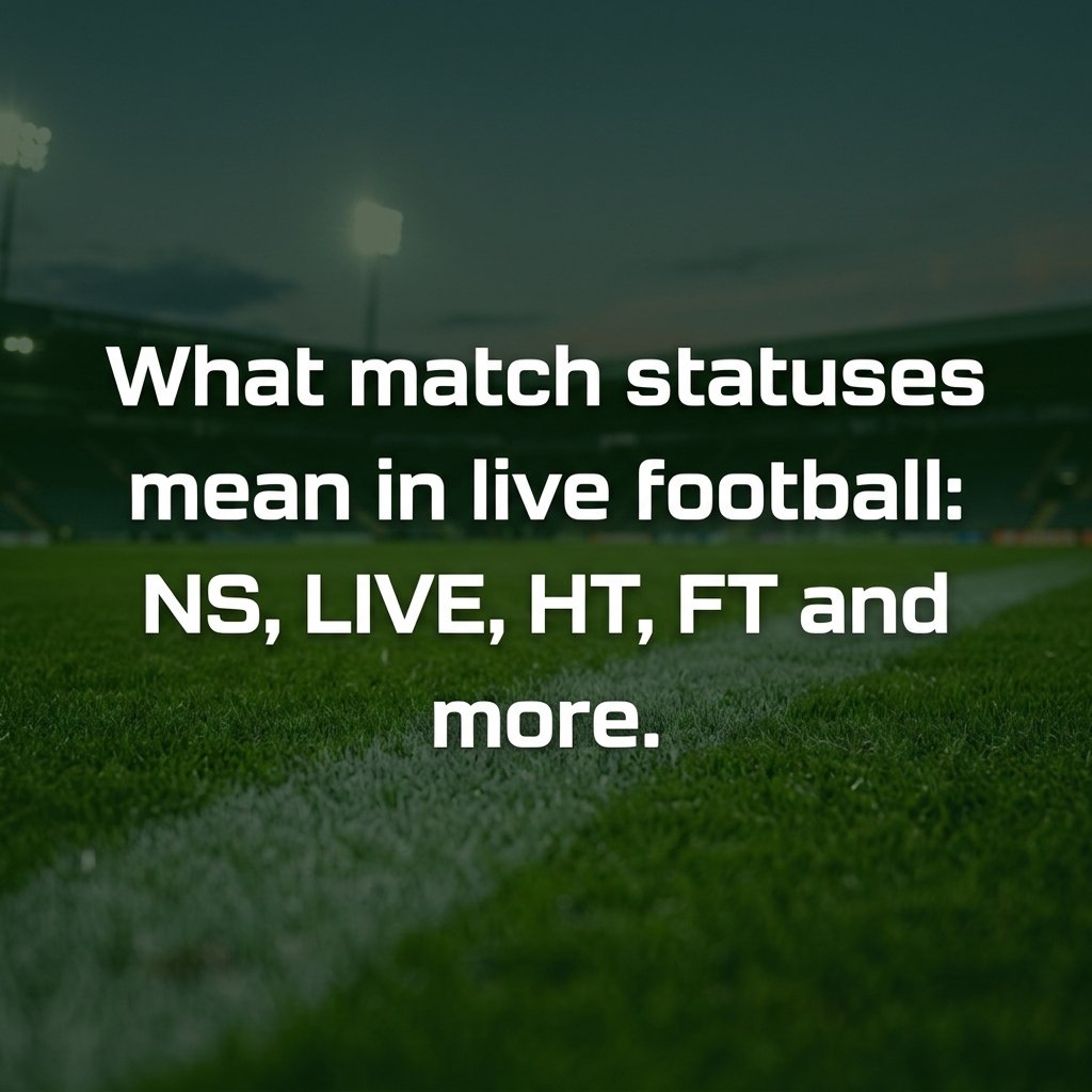 What World Cup match statuses mean: NS, LIVE, HT, FT and more